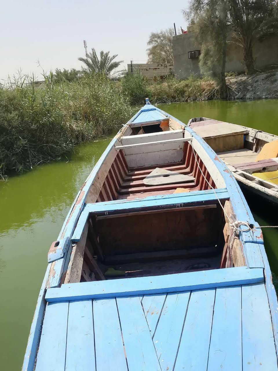 جينكوه فايبر7ونص. متر والعرض متره 20..السعر 700وبيه مجال...***********
