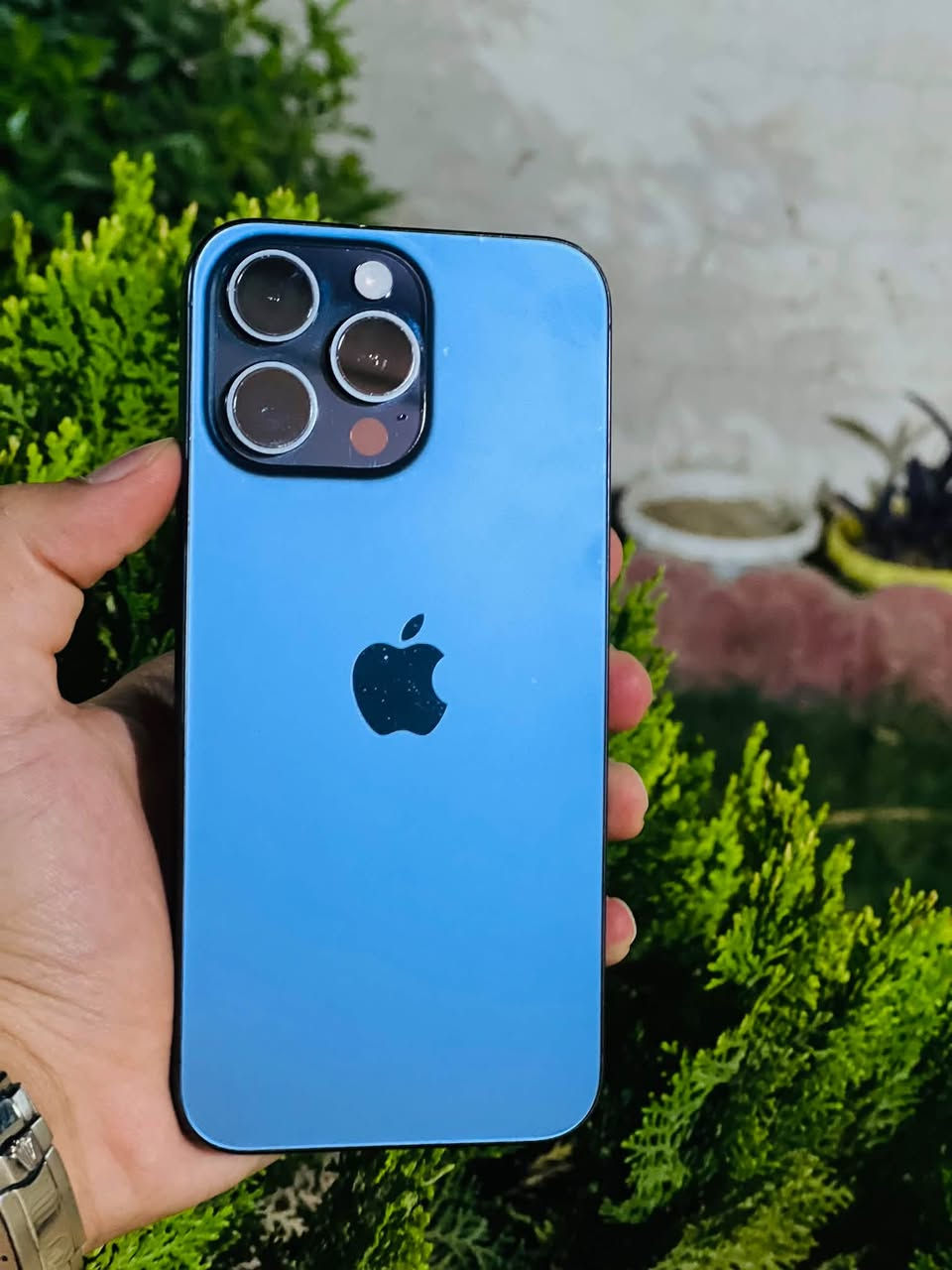 ايفون 15برو ماكس ✨نيلي
بلادي كله وتر بروف🤩
ذاكره 256😅
بطاريه86مشحون410
جهاز مناسب حيل اتصل وادلل
***********تواصل سعر 🔥 🔥 جوه السوك
