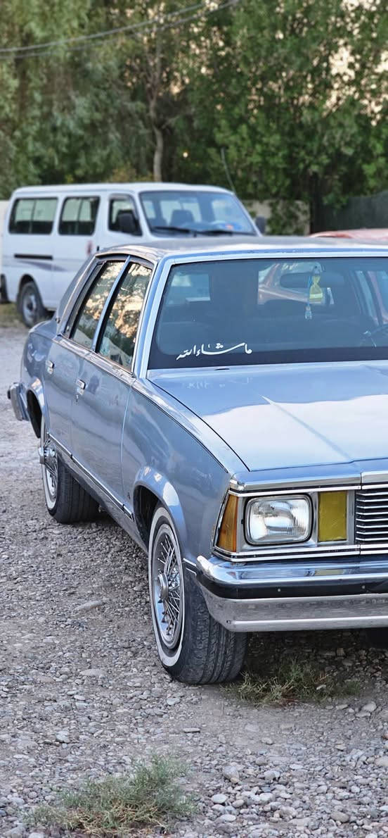 السلام عليكم 

سيارة ماليبو للبيع 

سيارة كلها بلادي ما بيها شي محور 
 
موديل ١٩٨١ سيارة صبغ جمالية 

شرط كير مكينة صدر تخم تاير وشرط التحويل 

مكاني كركوك او ديالى 

للاستفسار اكثر تواصل خاص او واتساب
***********
