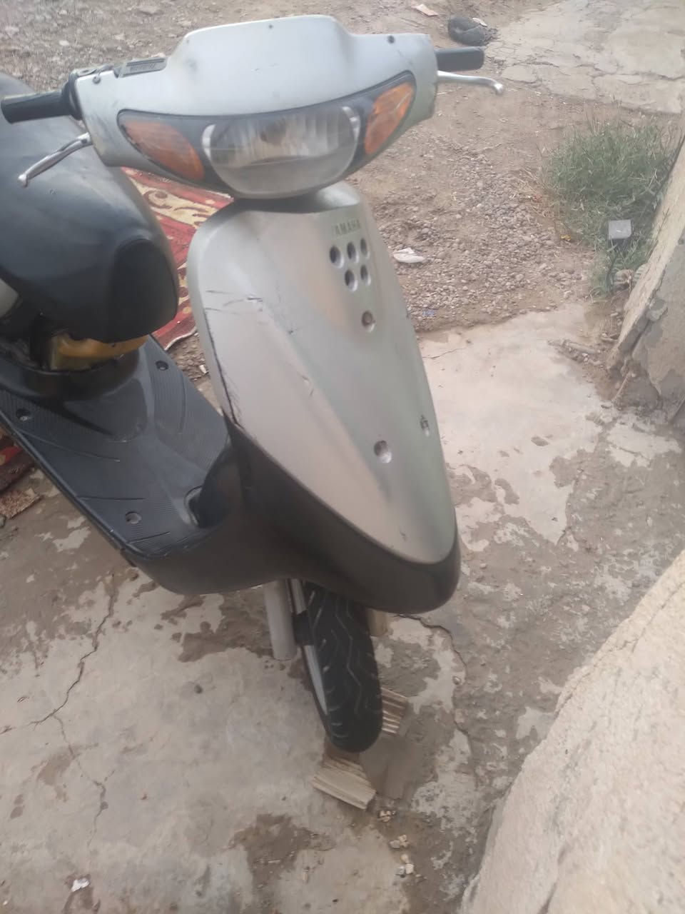 ستين ياماهة • نضيفه • سفسار