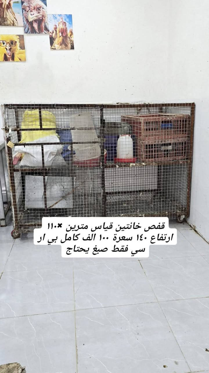 السلام عليكم اخوان تفصية محل دجاج الغراض كلها جديدة استعمال اقل من شهرين كل عيب ما بيها مكانها عانه *********** / ***********
