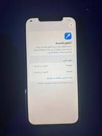 آيفون ١٢ برو ماكس • ٢٥٦ • بطارية ١٠٠