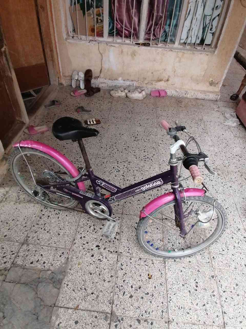 بايسكل • مستعمل • حجم ٢٢