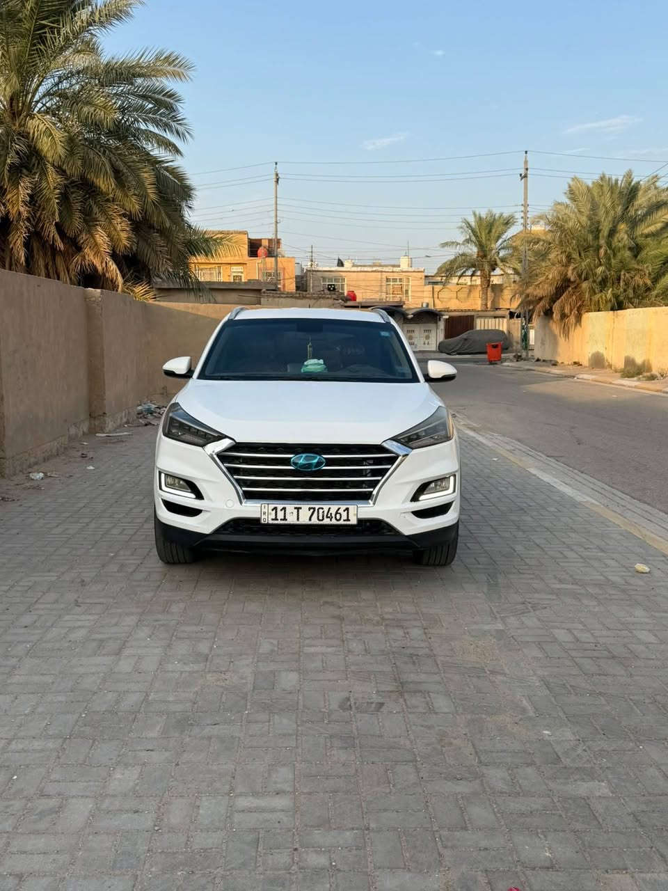 توسان • ٢٠١٩ • كشنات جلد