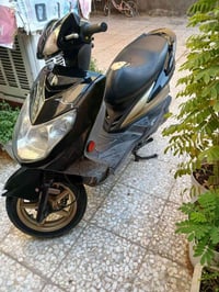 سكنس فحل • ذهبي • مكينة تخبل