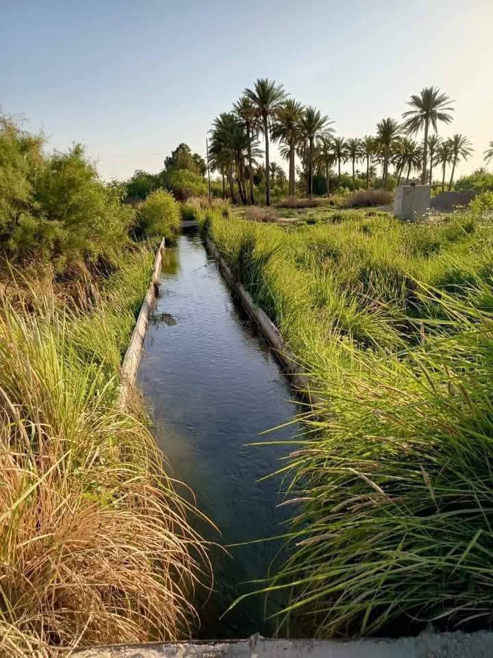 السلام عليكم
ارض للبيع لاصحاب الامكانيه القليله 
جايبلك 6 دوانم السعر 7 مليون قفل للدونم الواحد
ابد مابي خساره وخدماته ماء وكهرباء وطريق وواجهته مرتبه
تباع حسب الطلب جنس الارض طابو سند 25 فتح بيان بأسم المشتري العنوان تاجي سبع البور منطقة الشيخ عامر (منطقة العيساويه عبور الجسر الثاني منطقة سكنيه وزراعيه) عيش رفايهيتك وسعار مرتبه وحلوه وفرصه ذهبيه ما تضيع ان شاء الله تشتري ب 7 بعد كم شهر تبيعه ب 15 ووالله العضيم ابد ماكو خساره وكلام معروف انو العقار مابي خساره وهواي ناس اشترت بلشيخ عامر واطرافهه واتساب *********** 🌳🌳

