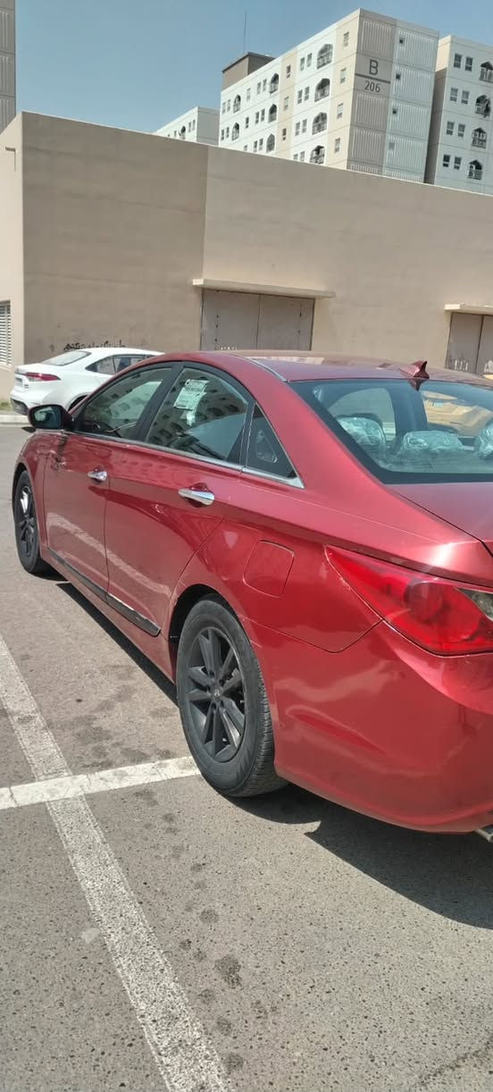 فول • ٢٠١٣ • وارد أمريكي