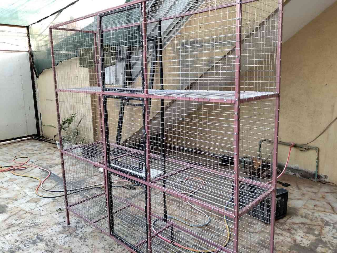 متاح قفص 3 خانات طول الخانه 2 متر العرض 60 في 60    ***********
