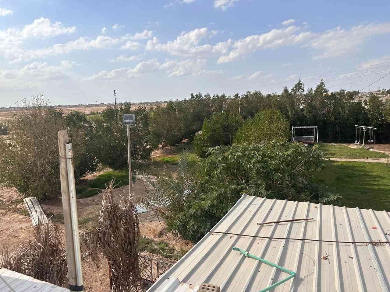 لا توجد تفاصيل
