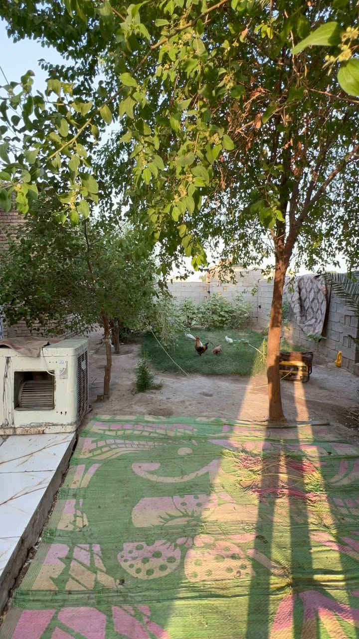 ٣٧٥م • بناء ٣٠٠م • حديقه