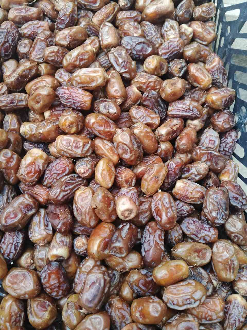 شويثي اصفر • مكبوس • توصيل بغداد