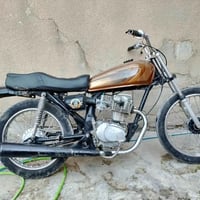 شغاله • كركوك