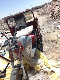 ستوته • بيها مجال • شراي