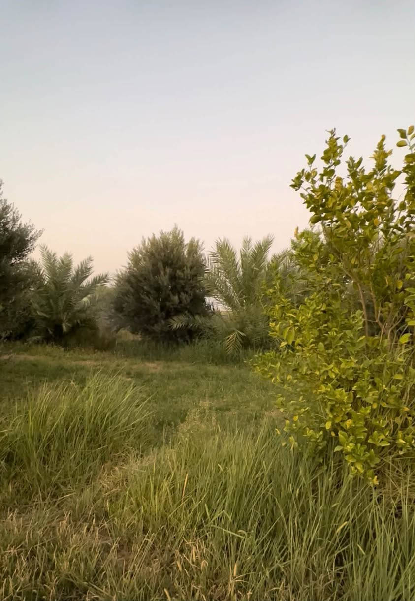 بستان مثمر • ٣٧٥٠م • حوض اسماك