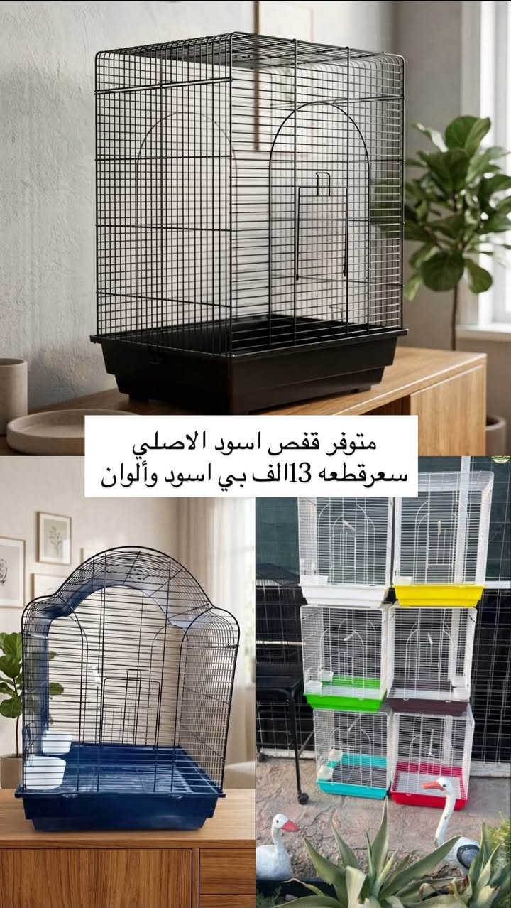 💥 وجبة أقفاص جديدة ومتنوعة للبيع (حديد / خشب / جريد) 💥
يتوفر لدينا أفضل أنواع الأقفاص وبأنسب الأسعار، متانة ونظافة ممتازة!
📌 أولاً: أقفاص الجريد (بعود صيني):
✨ بصراوي دبل
✨ أبو قوس دبل
✨ كوخ وسط
✨ طرادي دبل
💰 الأسعار: (17,000 - 18,000) ألف دينار.
📌 ثانياً: أقفاص الخشب:
✨ أبو قوس خشب (حجم كبير) - متوفرة بعدة ألوان وأشكال مميزة 👈 السعر: 18,000 ألف.
✨ كوخ ومثلث (حجم وسط) 👈 السعر: 15,000 ألف.
✨ بصراوي خشب 17الف
📌 ثالثاً: أقفاص الحديد:
✨ أسود حميد الأصلي (يرهم لجميع أنواع الطيور) - متوفر باللون الأسود وألوان أخرى 👈 السعر: 13,000 ألف.
✨ أبو قلب (حجم كبير) 👈 السعر: 15,000 ألف.
✨ قفص سوري 👈 السعر: 10,000 آلاف.
📍 الموقع: [محل كوفه حي المتنبي يم مدينه ألعاب كوفه لاند باب مسبح فرن صمون بركات جوادين للركن داخل فرن مقابل ولده محلي متواجد ب4او5عصر لل9بليل]وباقي وقت ع تصال 
🚗 التوصيل: [يتوفر توصيل نجف3الف وباقي محافظات 5الف / أو اكتب تفاصيل الاستلام]
📞 للطلب والاستفسار: [***********]

نص مكتوب في الصور:
- مديلات متوفره
- طرادي وابو قوس دبل
- ومثلث كوخ وبصراوي دبل
- متوفر قفص اسود الاصلي سعرقطعه 13 الف بي اسود وألوان
- متوفر أقفاص بلابل خشب ابو قوس ألوان واشكال مختلف اكثر من 13 مديل مشكل سعر قطعه 18 الف اکو توصيل 📞🧿🧿 @alialshammari730
- 18 15 بدون بلكونه آخر قطعه نفس لون