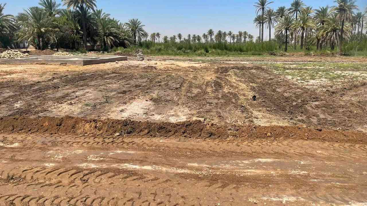 للبيع 2200طابو زراعي سند 25سند  تحويل بسم المشتري   معه كافت الخدمات ماء كهرباء تبليط مدارس مستوصف كربلاء المقدسة قرب  طريق كربلاء حله تبعد عن مركز المدينة 15كيلو اي استفسار اتصال عله رقم الهاتف***********,,***********
