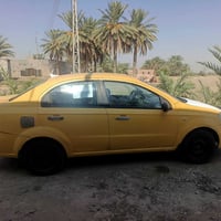 أفيو ٢٠٠٨ • بابل • وارد أمريكي