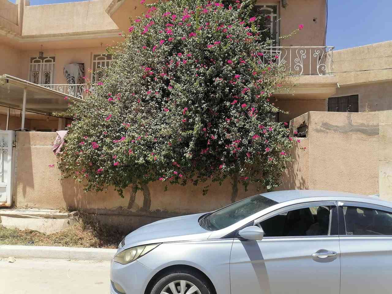 السلام عليكم بيت مساحته 170 أو 160 طابقين 4 غرف نوم البيت بلكرامه خلف مجمع الضامن أو أسواق ركن العائله طابو زراعي واجهيه 11م سعره 270 بيه مجال للاستفسار *********** واكو 100 متر بصفه لبيع طابقين السعر 160 للاستفسار ***********
