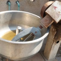 عجانة • ٥٠كيلو • بصرة جمعيات