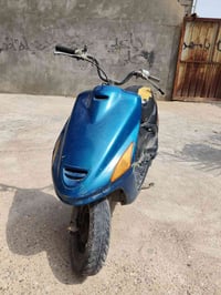 فراشة • مجفته • نقص شويه