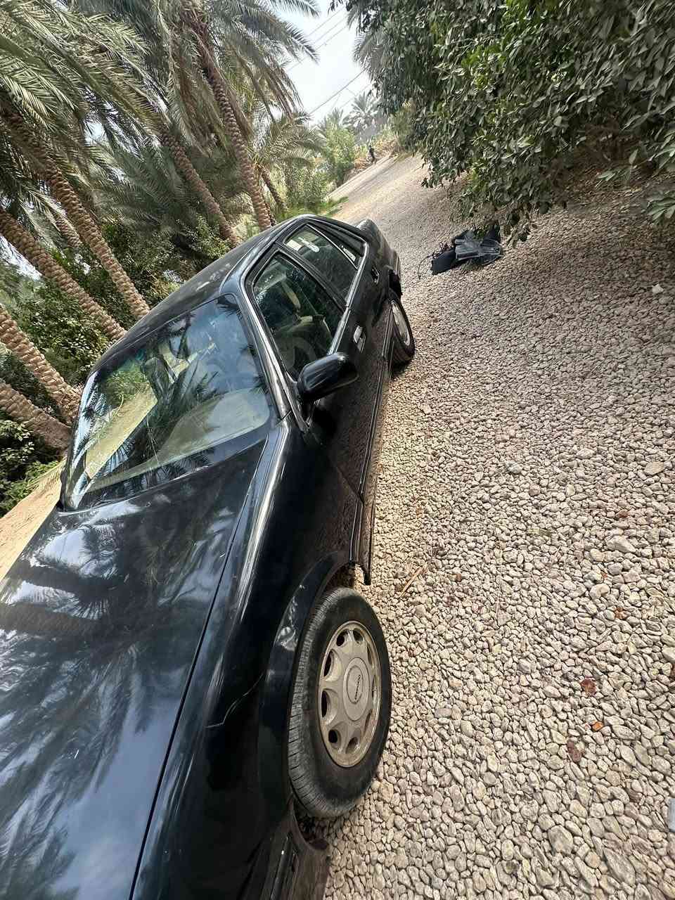 برنس • للبيع