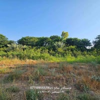 سالح ئاغا • بيت وبستان • أشجار ١٥ سنة