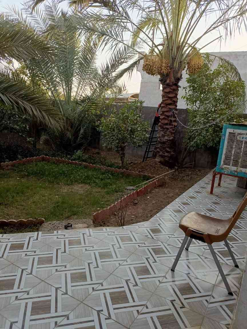 مساء الورد
متاح بيت طابو صرف 300م مع مشتمل 150م طابو صرف مجموع المساحة 450م سيف سعد نهاية شارع ثلاثون ومتوفر جميع الخدمات وموقع جميل جدا 
السعر مناسب جدا الاتصال بالهاتف
 *********** 
علمٱ انا مكلف بالنشر شكرٱ للجميع

