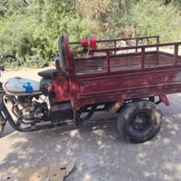 ستوته • انتيار • ٩ سنويه