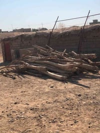 حطب يابس • كمية شوي • دجاج