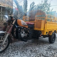 ستوته جمره • فحل • بدي عريض