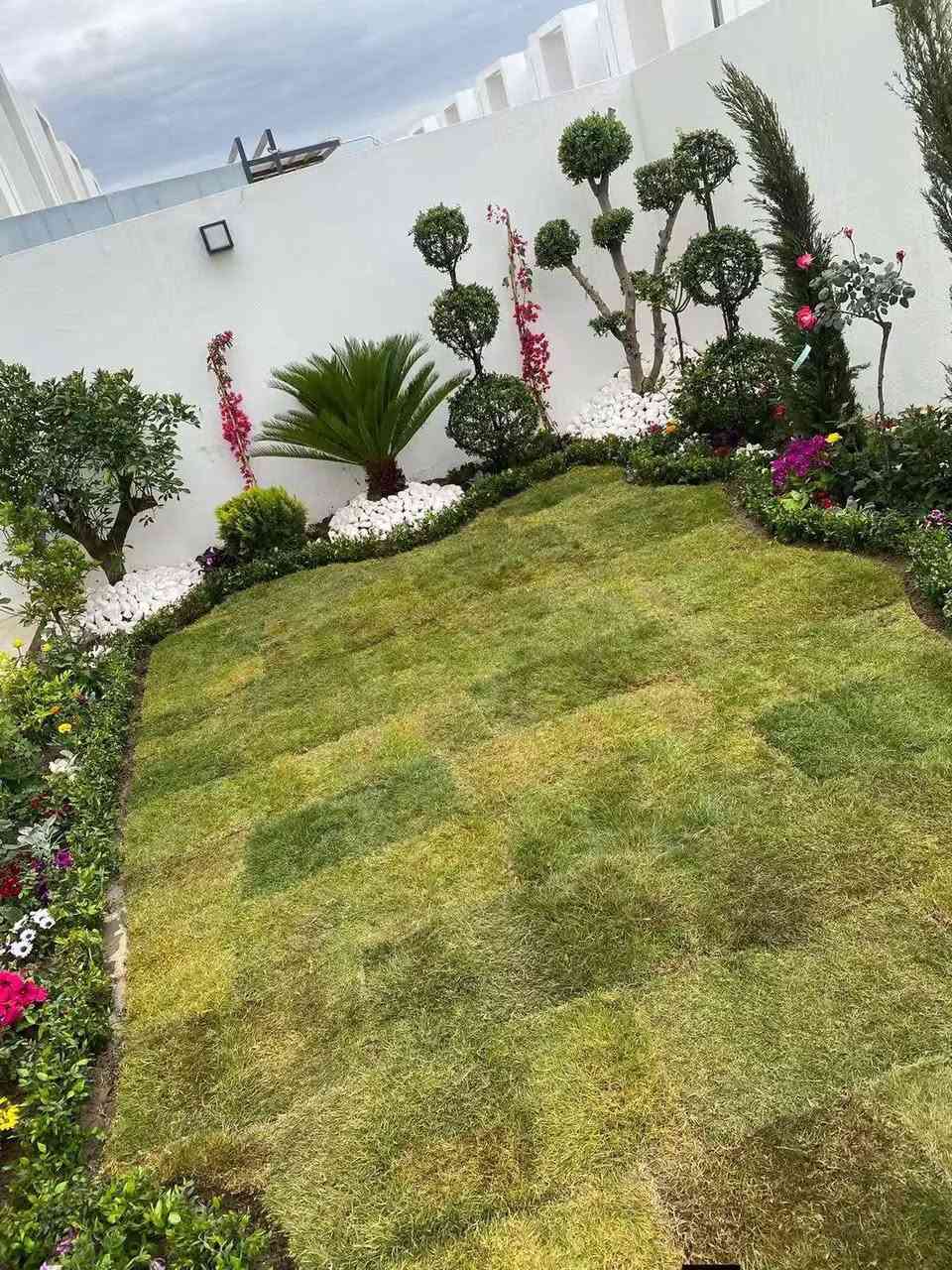 حدائق بابل ٢٠٢٦ • بوهيمي مودرن • ضمان ٥ سنوات