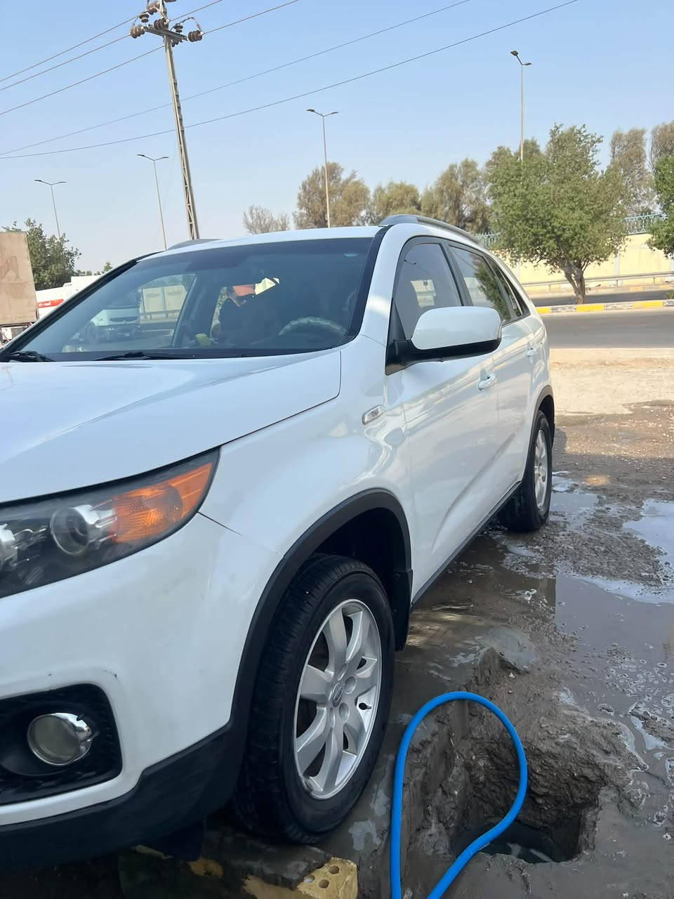 سورنتوا • ٢٠١١ • مكفولة