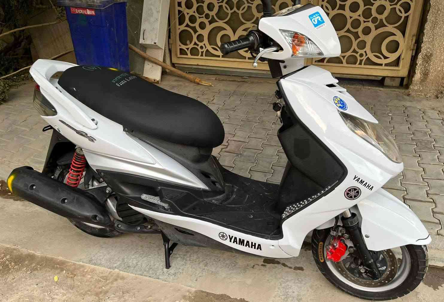 سكنس فحل • بلاديه • جديده