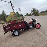 ستوتة • موديل ٢٣ • كفاله عامه
