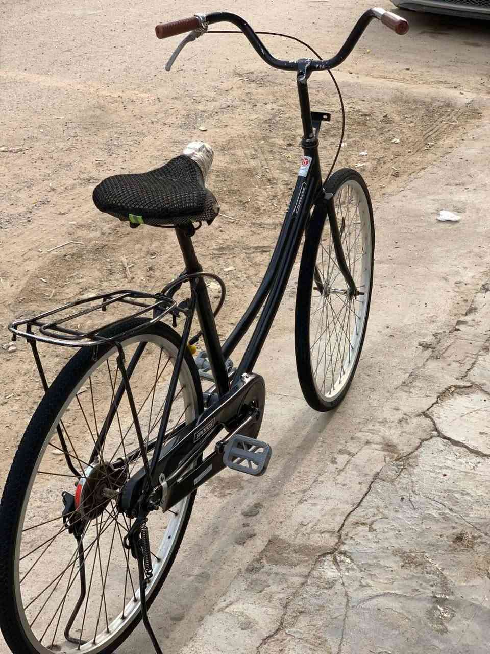 باسكل • حجم ٢٦ • مكان شطره