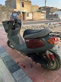 منغولي • ابلادي • مكفولة