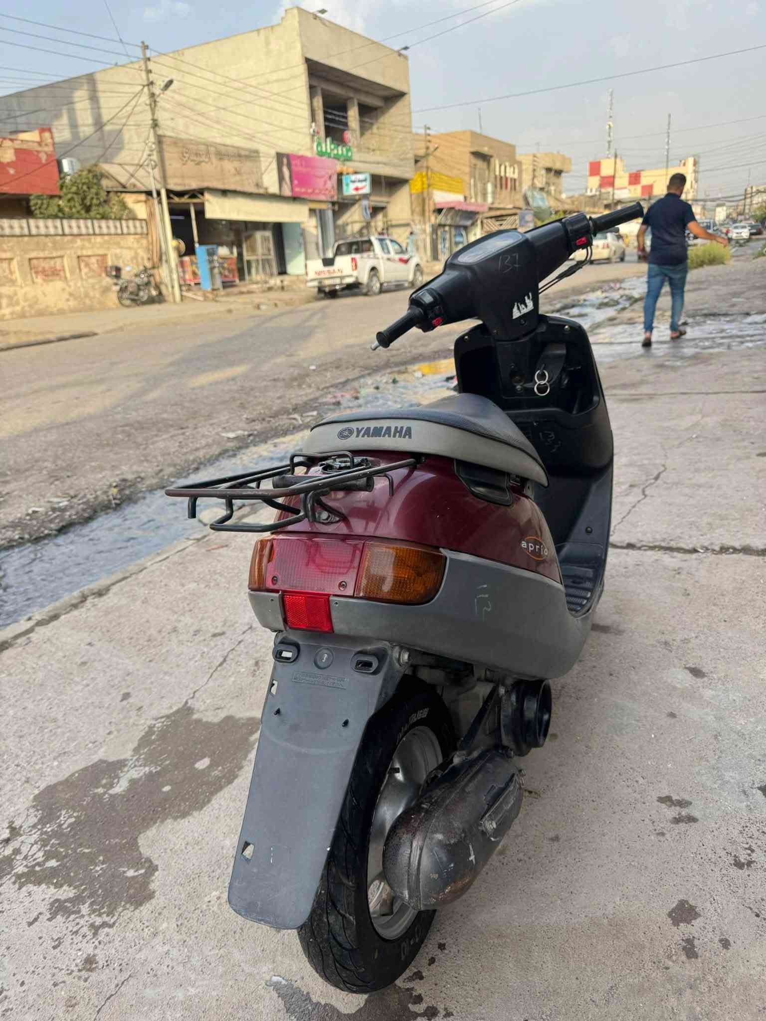فول • سلف • شغال
