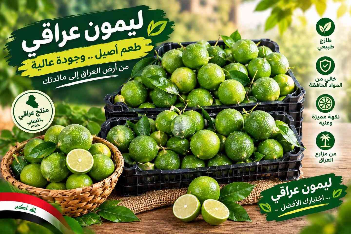تمور • توصيل • القادسية البلاج