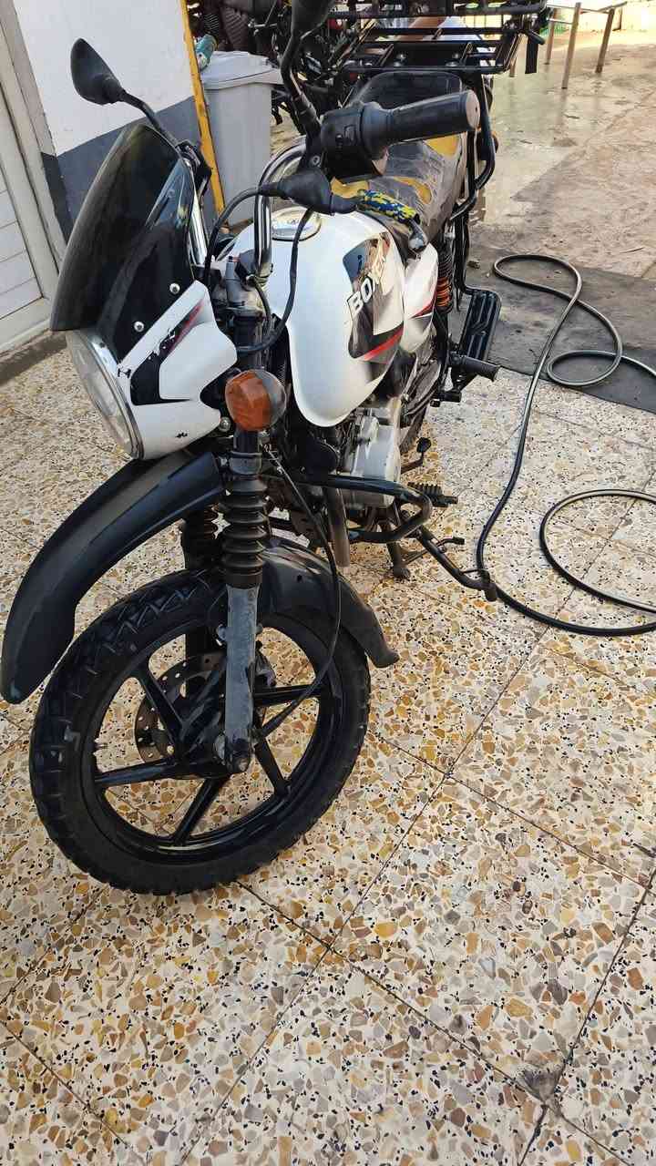 بوكسر جبلي • ٢٠٢٢ • مرقم باسمي