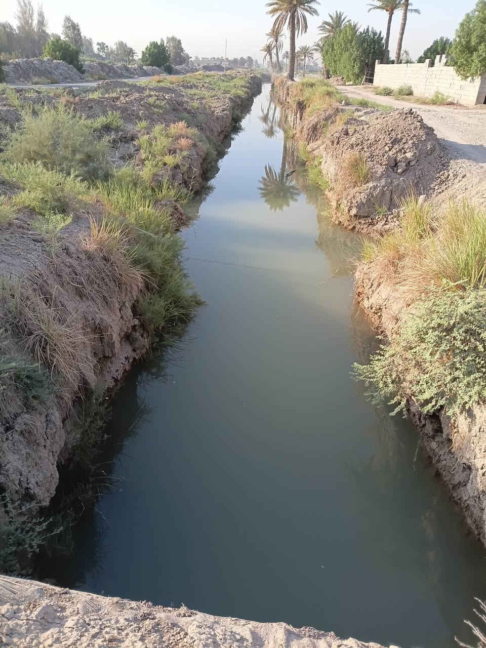 البيع ٢٠ دونم مع بيوت اثنين حديثات عقد ١١٧مي موجود مدرسة بابل جبلة رشايد ***********
