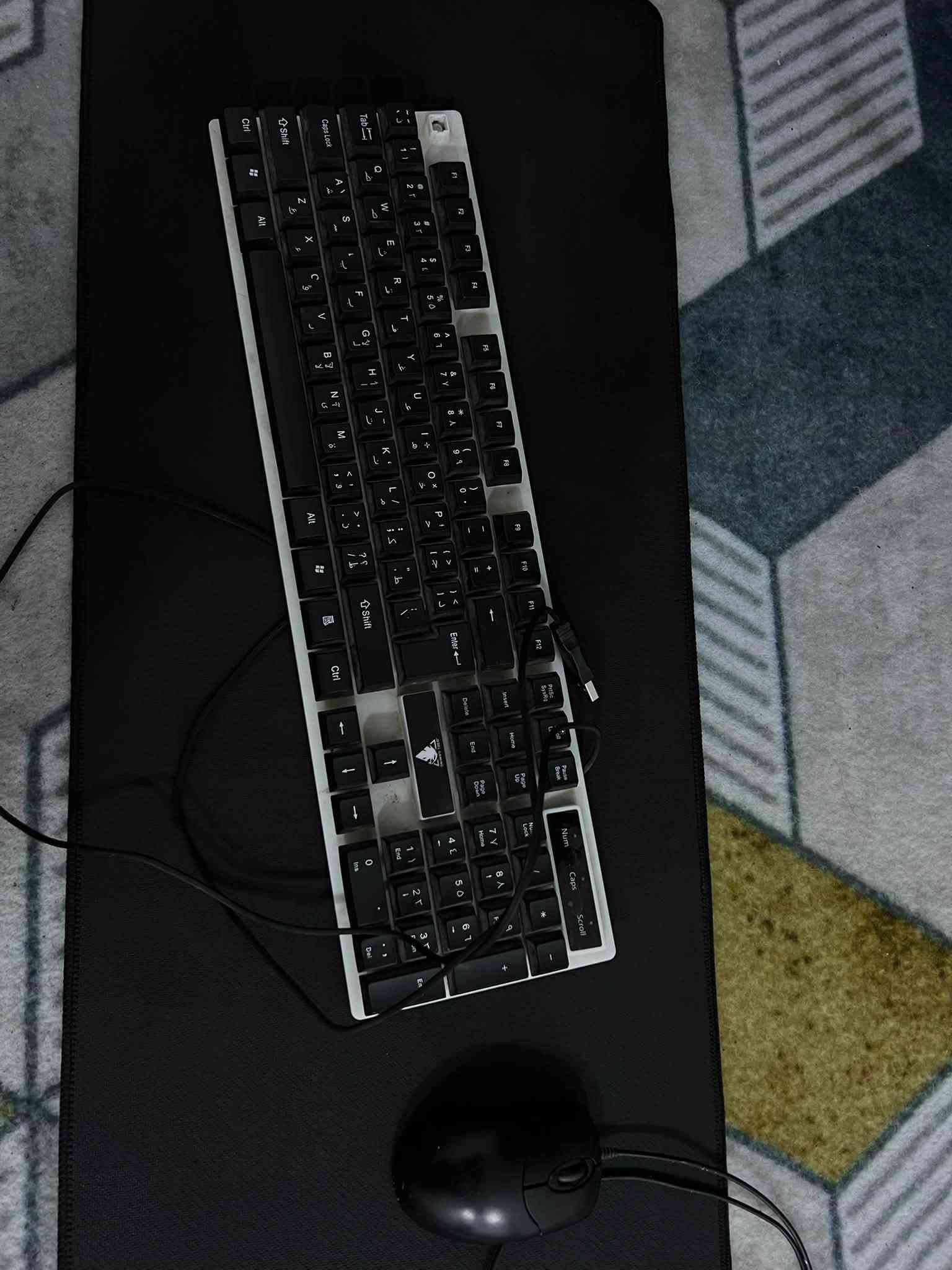 RTX ٣٠٦٠ • رايزن ٥ ٣٦٠٠X • تجميعة RGB