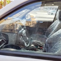 كريت ويل • كارتون • ٢٠٢٤