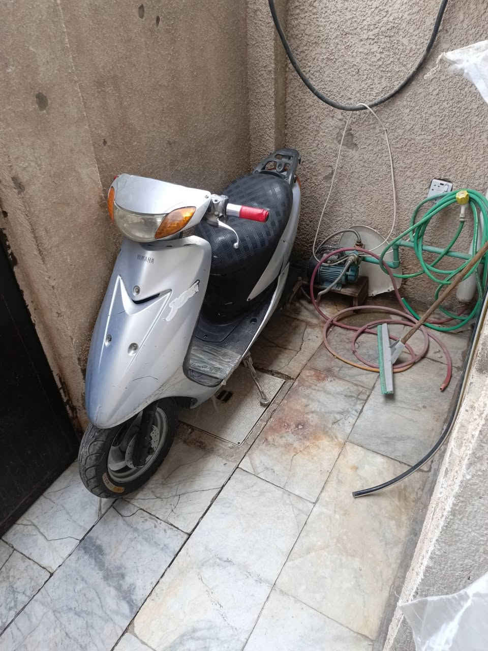 عصفورية • سبايدر • نضيفة