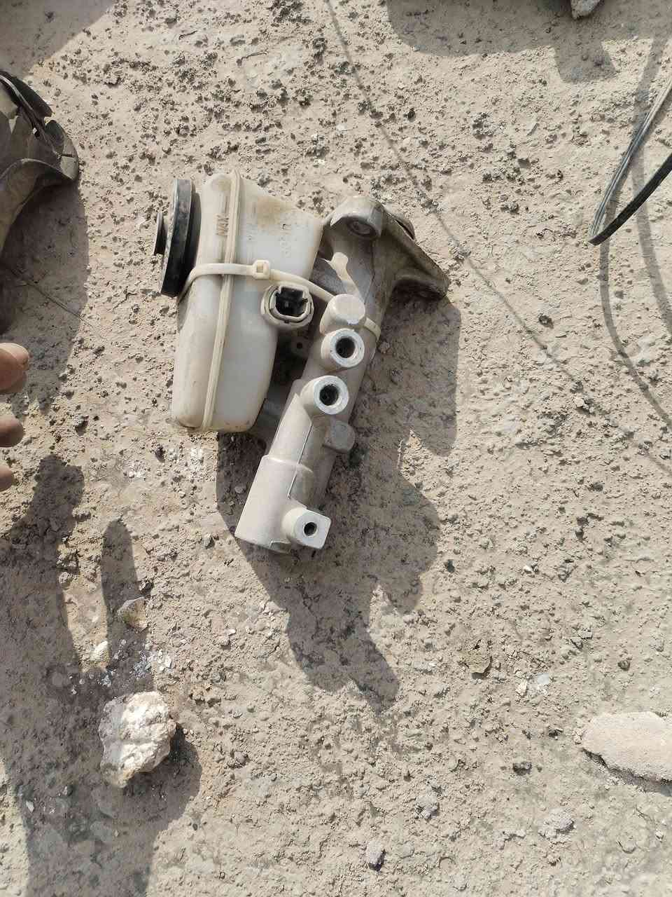 ياباني • تفصيخ • نوزلات