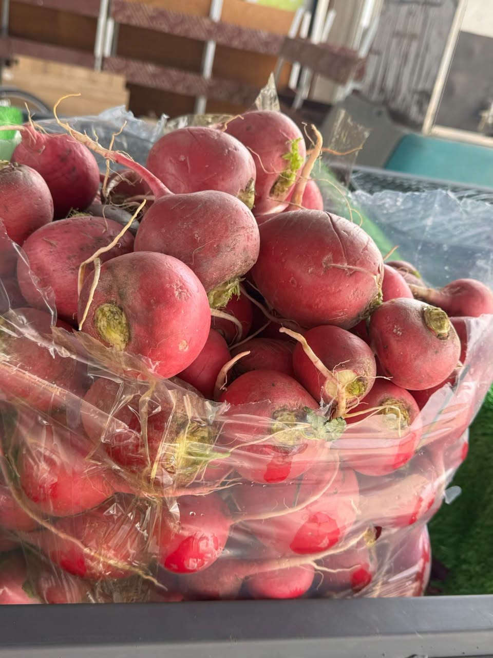مشروع مدينة الوند • خانقين • متواجد ٢٤ ساعة