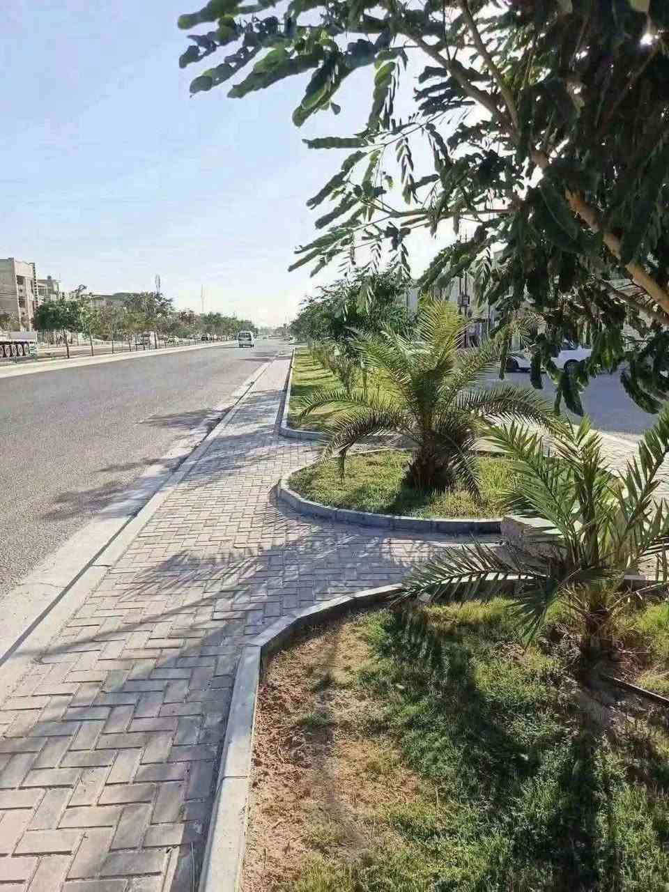 حي الجهاد • ١٠٠م • ٥ غرف