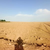 ٥ دونم ونص • قرب طريق صلاح آغا • جاهزة للزراعة