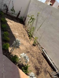تنضيف حدايق وزراعة متواجدين مجمع الرياحين السكني التواصل 07756283135