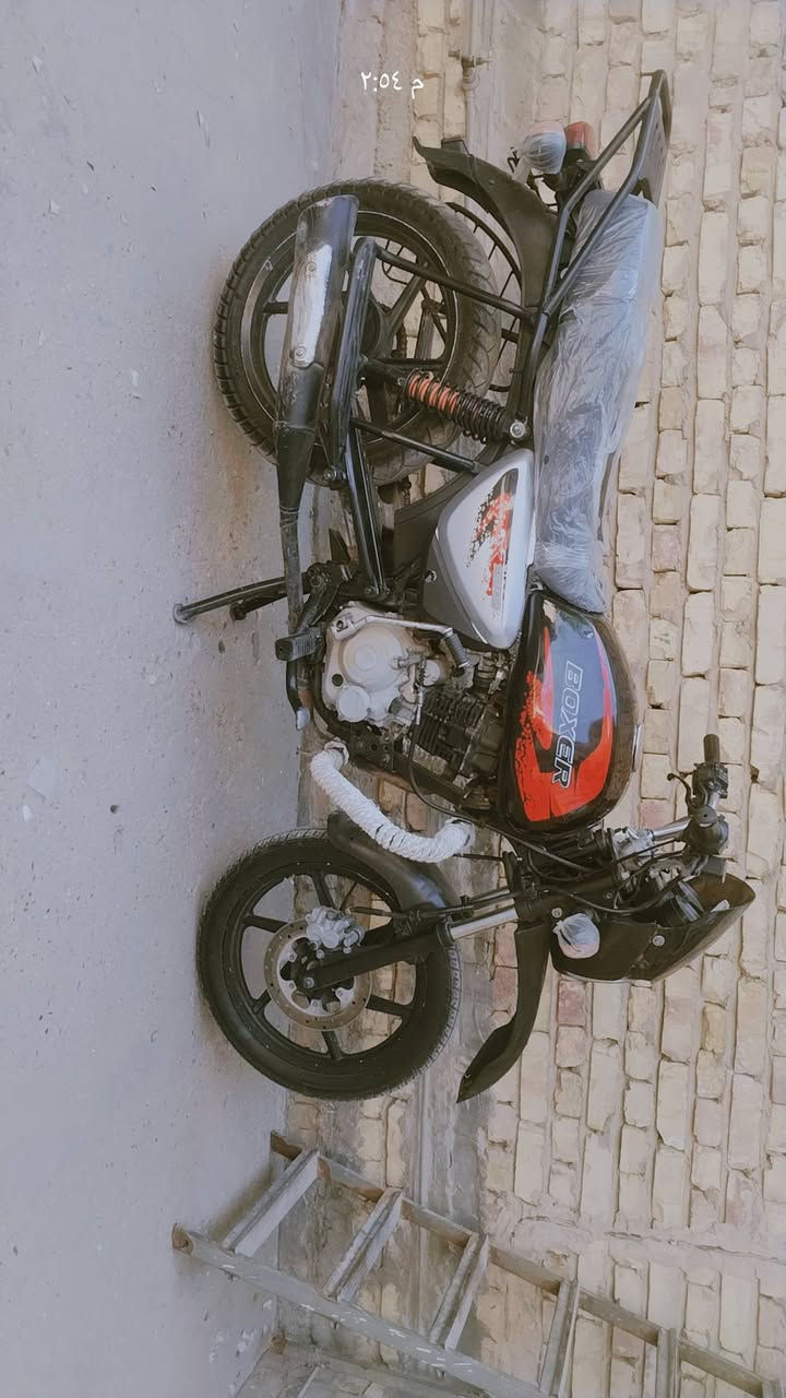 بوكسر ١٩ نازه ٢٣ دراجه اوراق كامله للبيع شاغاله كلهه بس مفيلسه الدراجه خير من الله  موقعي بغداد الشعب *********** واتساب

نص مكتوب في الصور:
- ٢:٥٥ م
- ٢:٥٤ م
- م ٢:٥٤