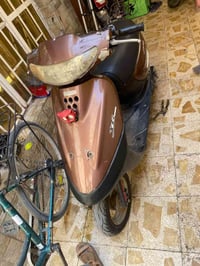 منغولي فحل • نضيفه • ما تشتغل